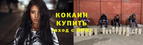 мдпв Осташков