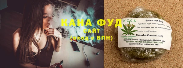 мдпв Осташков
