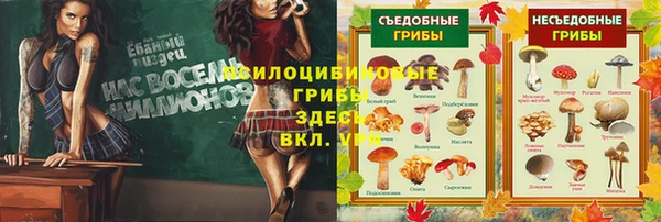 мдпв Осташков