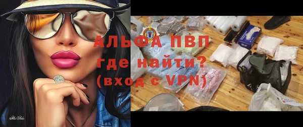 мдпв Осташков